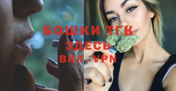 таблы Козельск