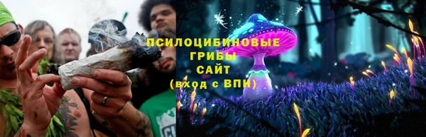 тгк Корсаков