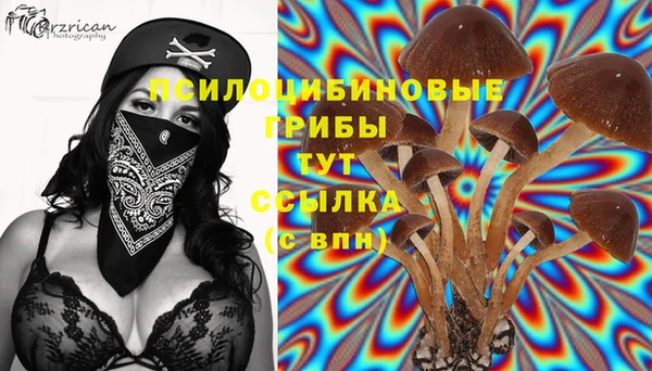 тгк Корсаков